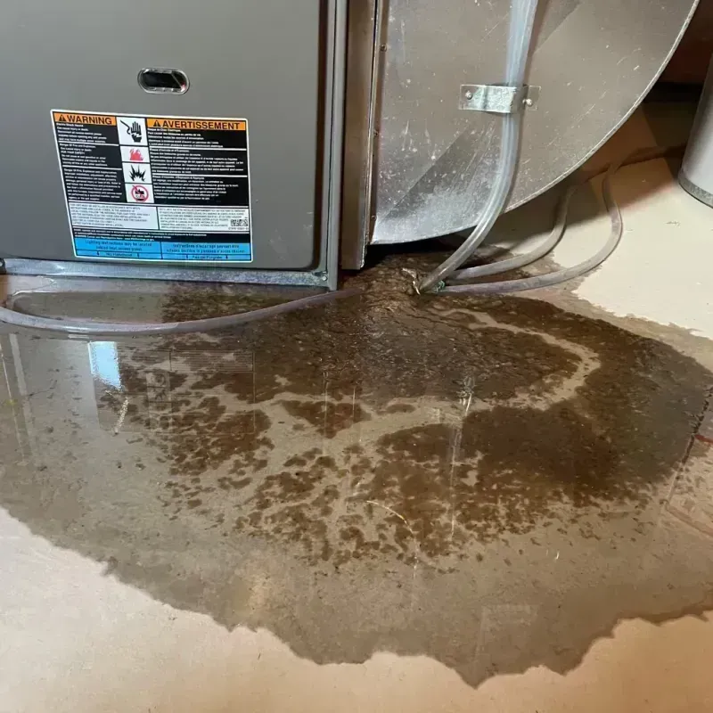 Appliance Leak Cleanup in Gordonsville, TN